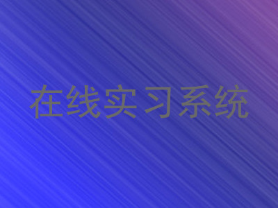 在线实习系统