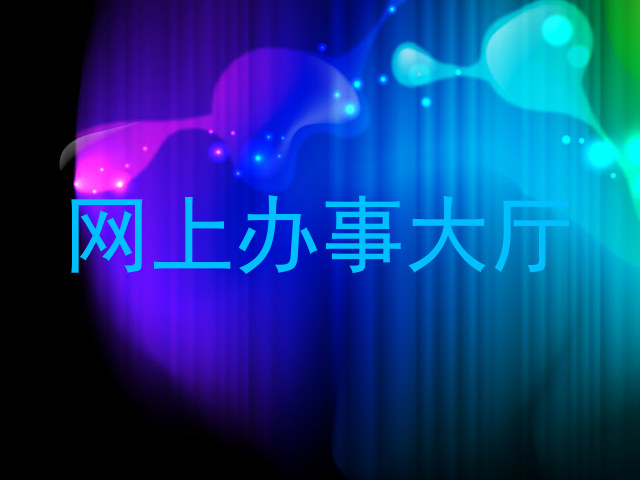 网上办事大厅