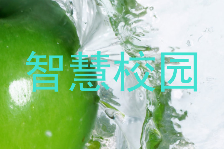 智慧校园