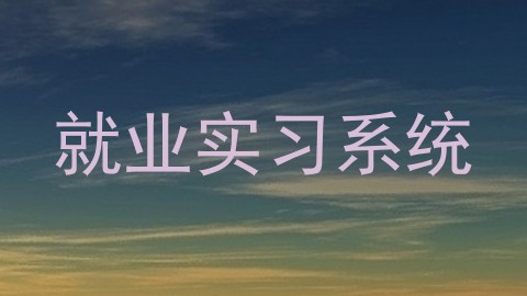 就业实习系统
