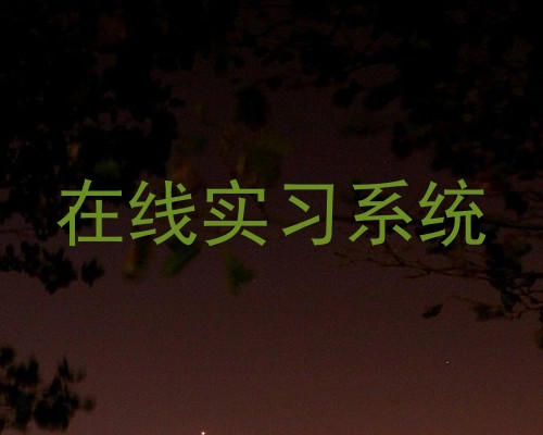 在线实习系统