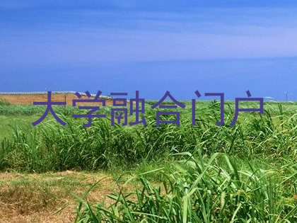 大学融合门户
