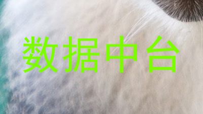 数据中台