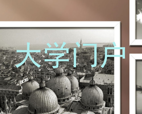 大学门户