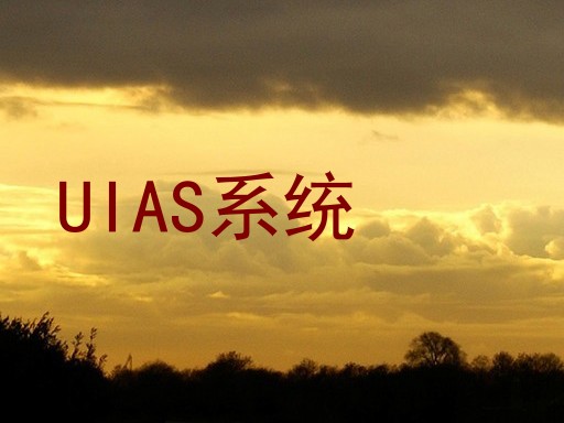 UIAS系统