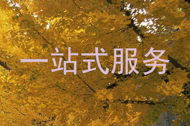 一站式服务