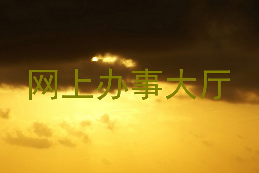 网上办事大厅