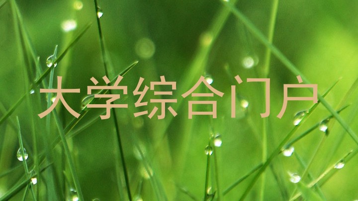 大学综合门户