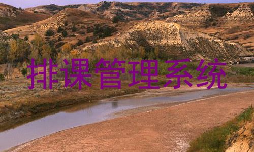 排课管理系统