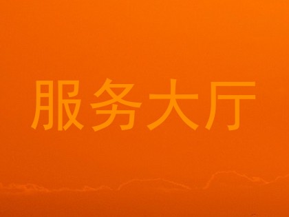 服务大厅