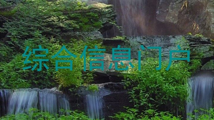 综合信息门户