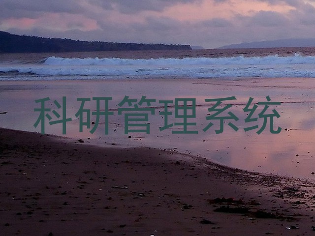 科研管理系统