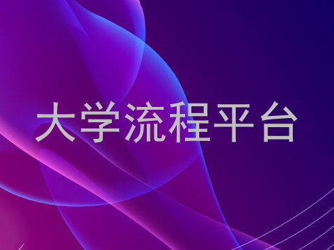 大学流程平台