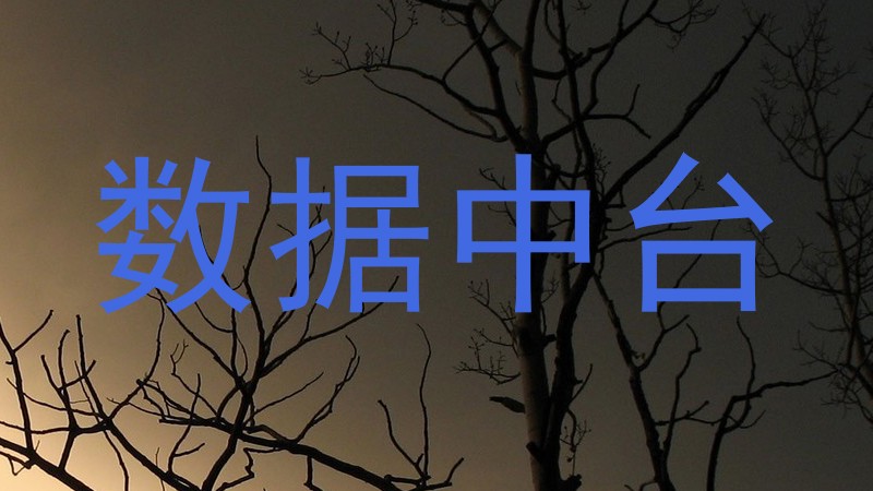 数据中台