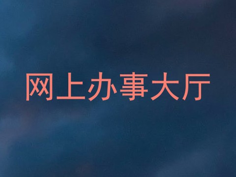 网上办事大厅