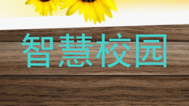 智慧校园