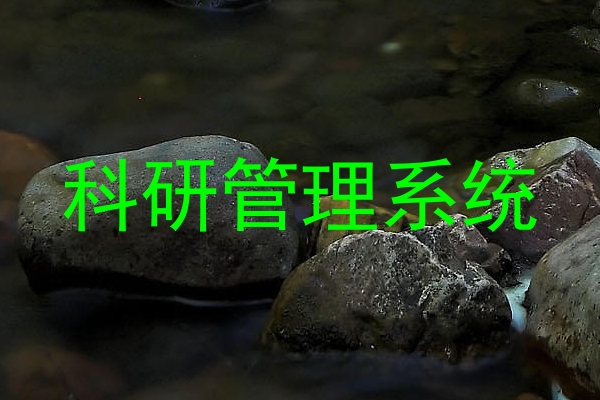 科研管理系统