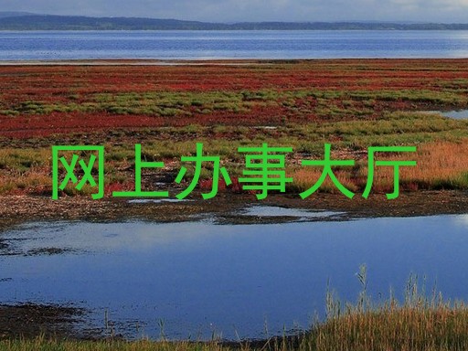 网上办事大厅