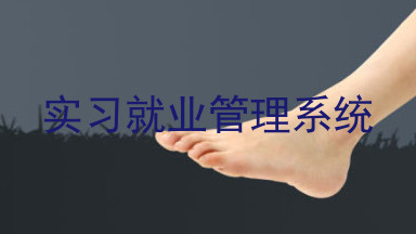 实习就业管理系统