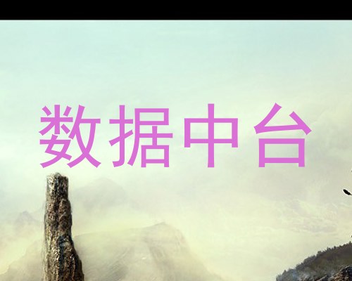 数据中台