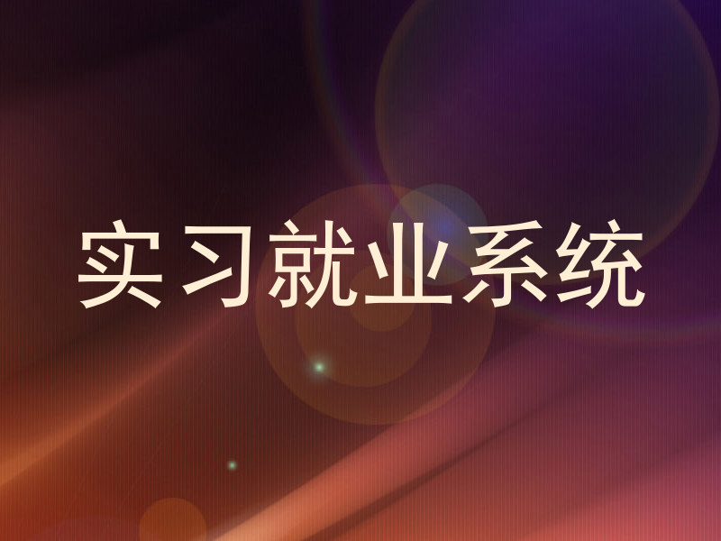 实习就业系统