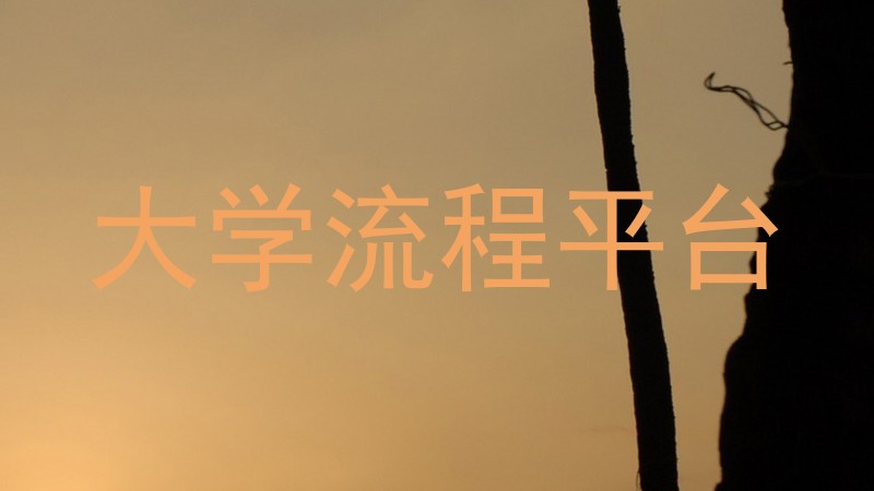 大学流程平台