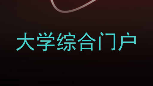 大学综合门户