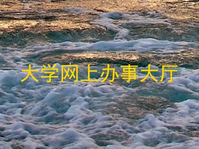 大学网上办事大厅
