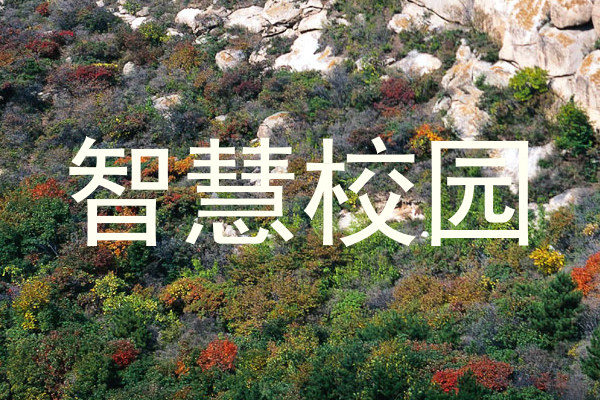 智慧校园