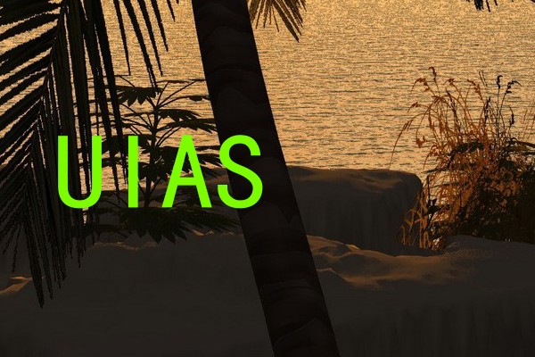 UIAS