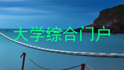 大学综合门户