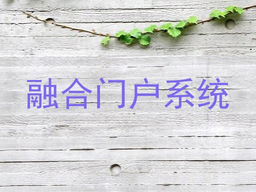 融合门户系统