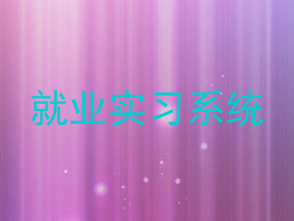 就业实习系统