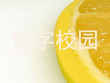数字校园