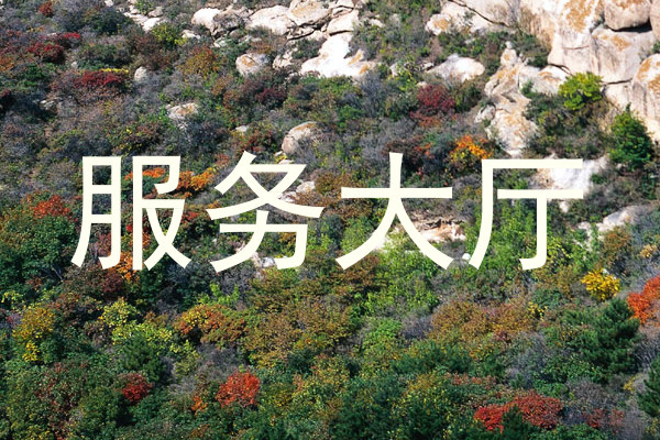 服务大厅