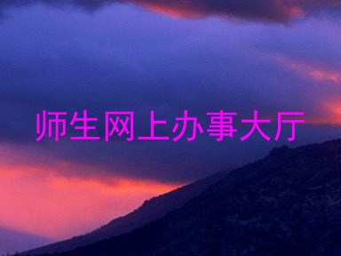师生网上办事大厅