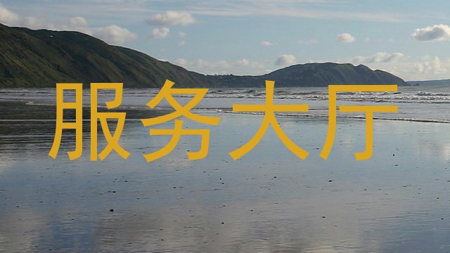服务大厅