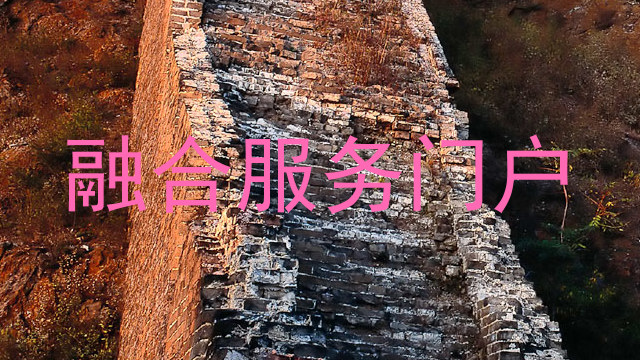 融合服务门户