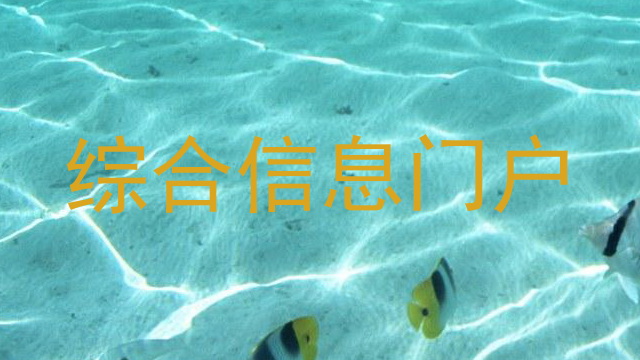 综合信息门户