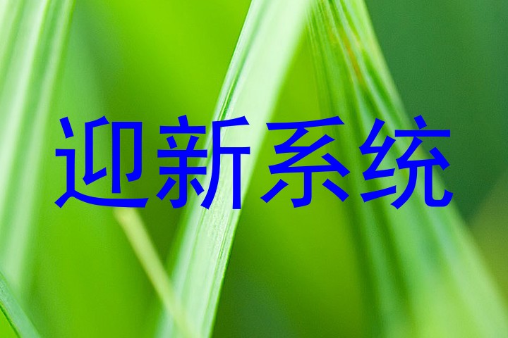 迎新系统