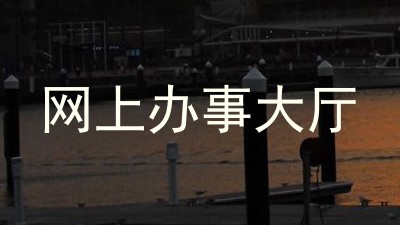 网上办事大厅