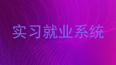 实习就业系统
