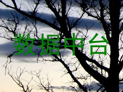 数据中台
