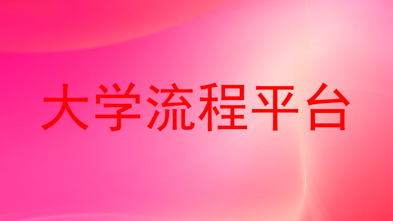大学流程平台