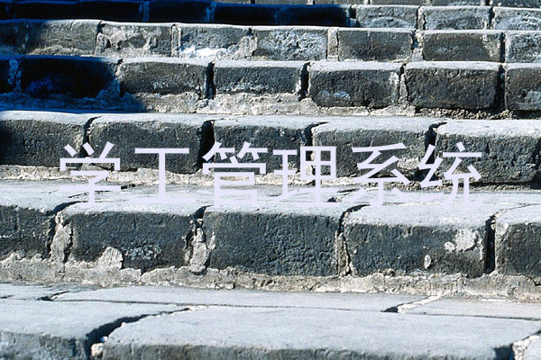 学工管理系统
