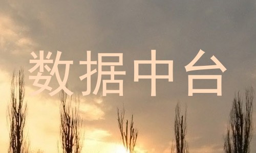 数据中台