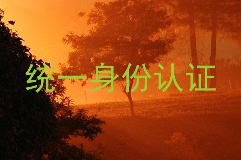 统一身份认证