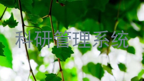 科研管理系统