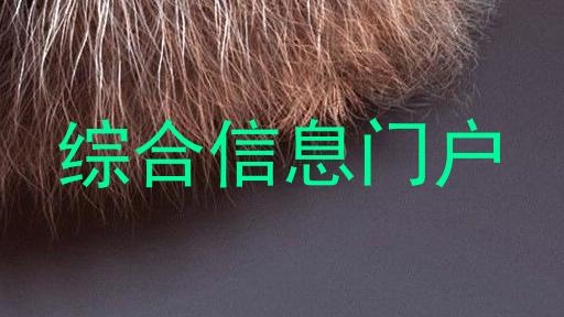 综合信息门户