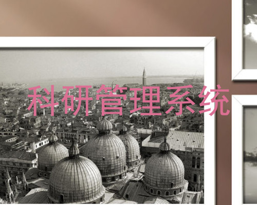 科研管理系统